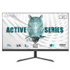 RAYDIN ALISA, 24", 2ms, 75Hz, Full HD, 250 nits, D-Sub, HDMI, Frameless, VA LED Monitör (Siyah)