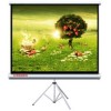 CODEGEN (TX-24) (240x200CM) TRIPOD PROJEKSİYON PERDESİ