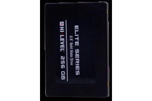 256GB HI-LEVEL HLV-SSD30ELT/256G 2,5