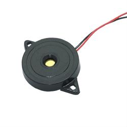 NO NAME BUZZER 