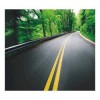 FREELINK (E96206) OPTICAL UYUMLU (YOL) MOUSE PAD
